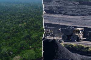 Todo sobre la Sustracción de Predios en Reservas Forestales: Ley, Trámite y Casos de Éxito